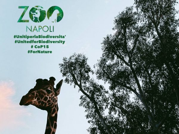 Lo ZOO di Napoli entra nella Global Coalition