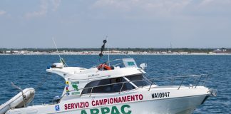 Schiume in mare in Penisola sorrentina, i risultati dei prelievi di Arpac