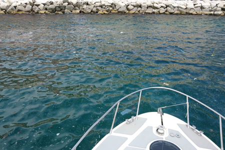 Schiume in acque Lungomare di Napoli, arrivano primi risultati Schiume in acque Lungomare di Napoli, arrivano primi risultati