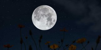 Superluna, tutto pronto: come vedere la spettacolare eclissi