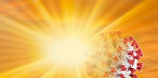 Covid: i raggi solari distruggono il virus in pochi secondi