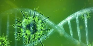 Al Ceinge di Napoli scoperta molecola 'chiave' che protegge i bambini dal Covid 19