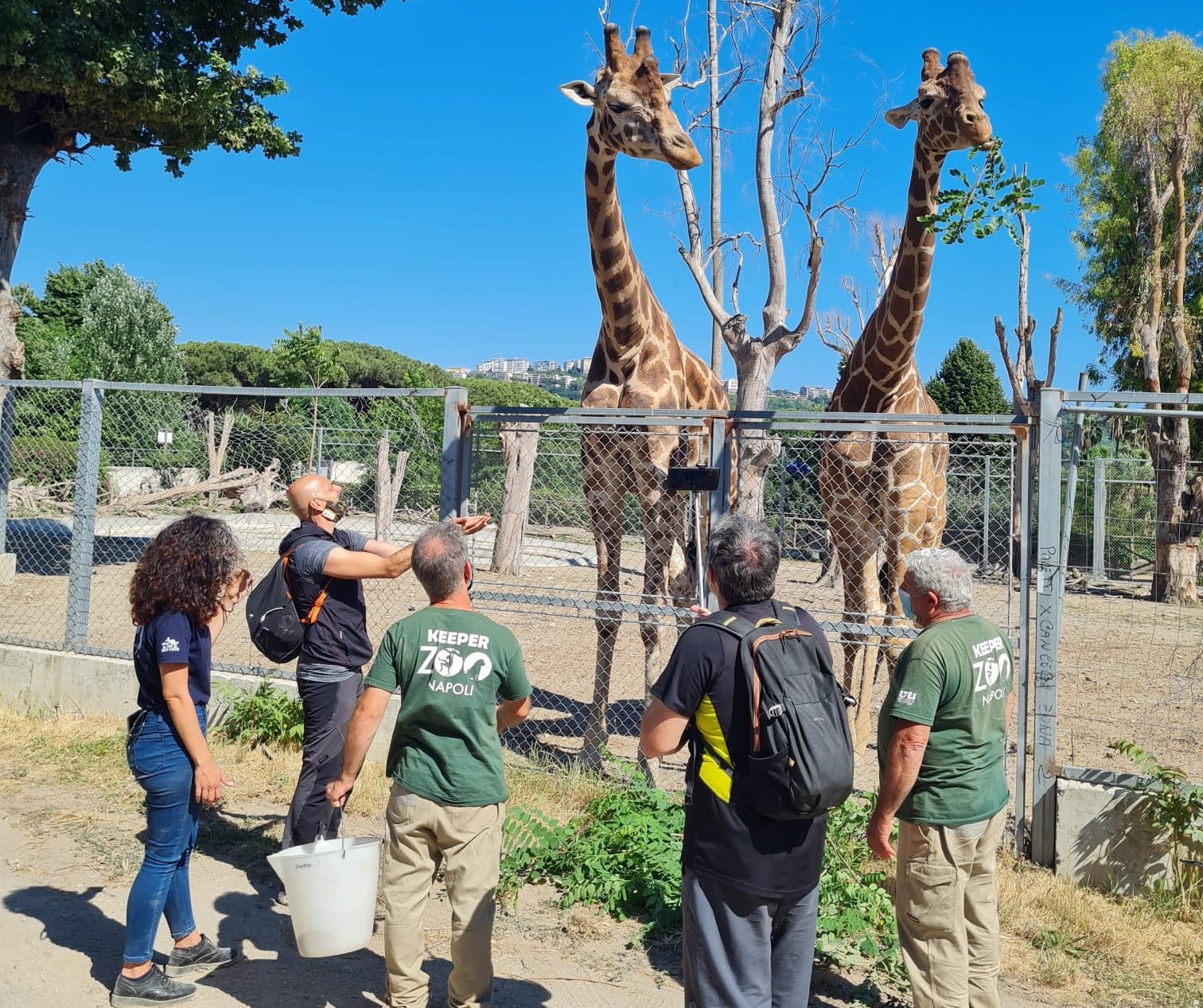 Ingresso libero alla Zoo di Napoli, domani 24 settembre dalle 16 alle 19