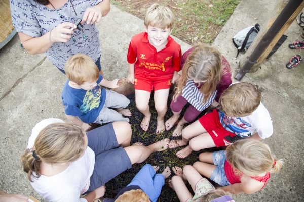 Riprende la Vendemmia aperta al pubblico alla Tenuta Cavalier Pepe Riprende la Vendemmia aperta al pubblico alla Tenuta Cavalier Pepe