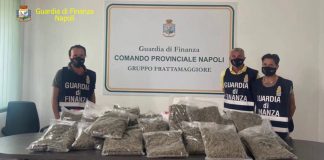Frattamaggiore, 22 kg di marijuana in un centro spedizioni
