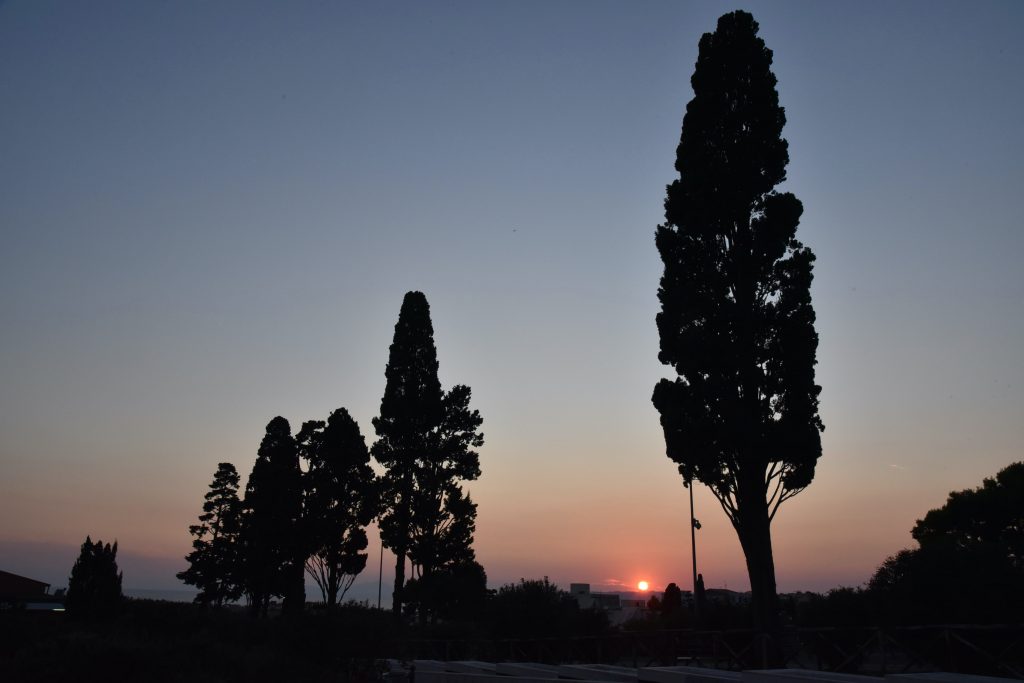 Al Parco Archeologico di Ercolano #GliOziDiErcole. Ecco il ricco programma di eventi