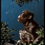 Comicon, a Benevento la grande mostra antologica Tanino Liberatore