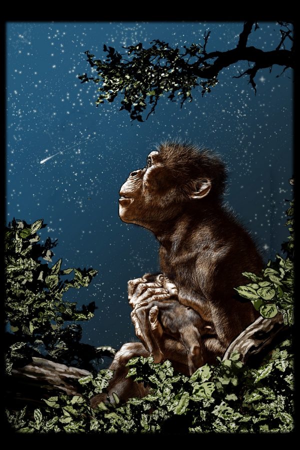 Comicon, grande successo per mostra Tanino Liberatore a Benevento