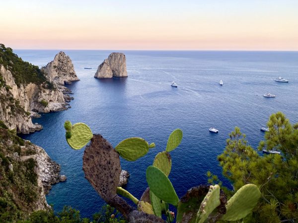 Capri, arriva l’ordinanza anti petulanza: vietato disturbare i turisti Capri, arriva l’ordinanza anti petulanza: vietato disturbare i turisti