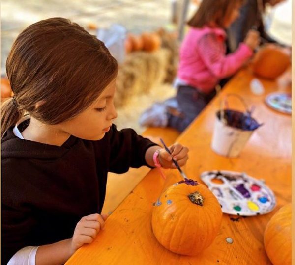 Fuori di Zucca parte la terza edizione alla Mostra d'Oltremare 