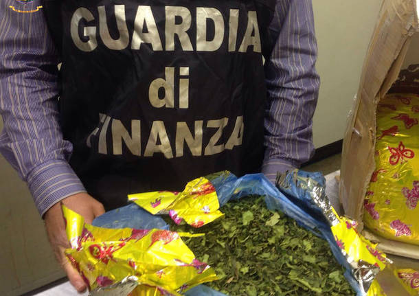 Malpensa, sgominato traffico droga: spedizioni a Napoli