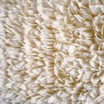 A San Domenico Maggiore la mostra “Mille miliardi di alberi” di Enza Monetti