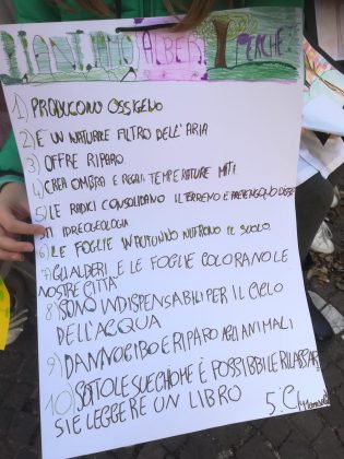 A Bagnoli i bambini dell'istituto I.C. 41 Console cantano per la Festa dell'Albero