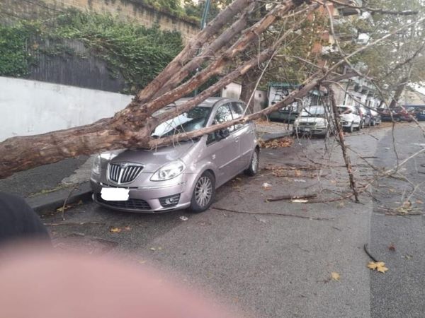 Maltempo a Napoli, albero cade su auto in sosta a Posillipo: nessun ferito