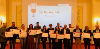 Sud Top Wine, tra i migliori del Sud premiati i vini campani