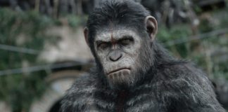 Stasera in tv martedì 23 novembre: "Apes Revolution - Il pianeta delle scimmie" su Rai 4