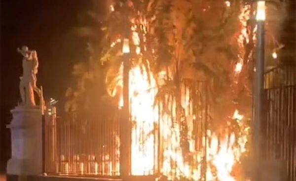 Napoli, paura in Villa Comunale: incendio manda in fiamme alberi secolari