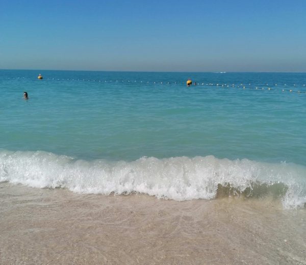 Viaggio a Dubai: cosa vedere, come muoversi e spettacoli straordinari da non perdere Viaggio a Dubai: cosa vedere, come muoversi e spettacoli straordinari da non perdere