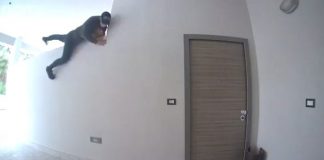 Nola, ruba cane in un appartamento: parte la caccia al ladro