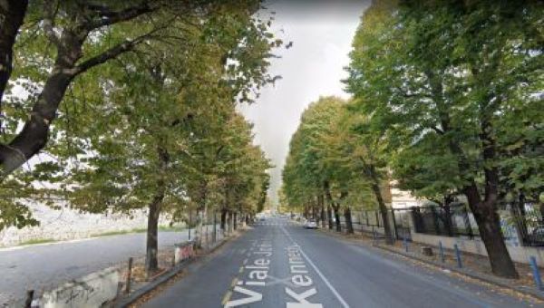 Comune di Napoli, Santagada fa il punto sui lavori per il verde: piantati 200 nuovi alberi a Fuorigrotta