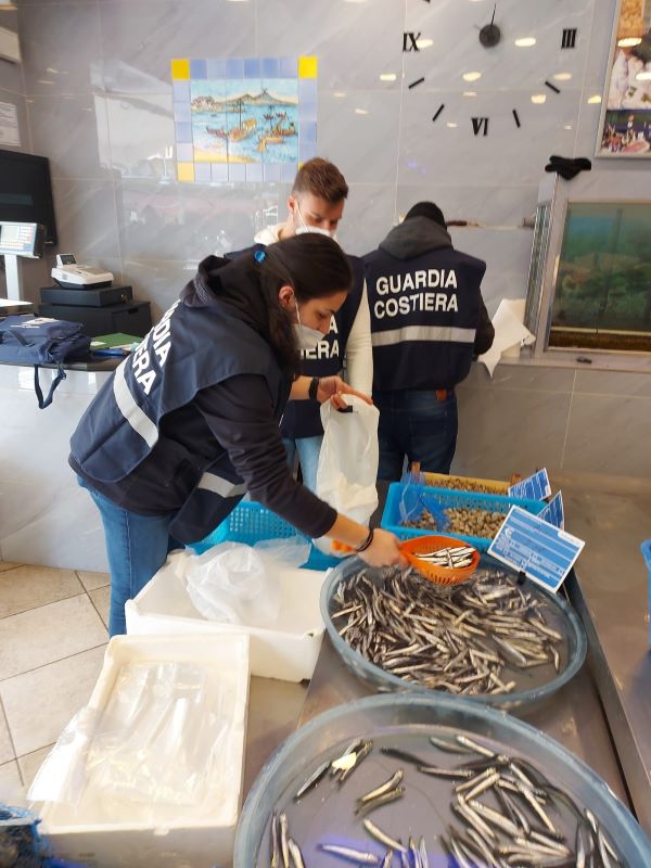 Napoli, controlli della Guardia Costiera nella filiera ittica: sequestrati 300 kg di pescato