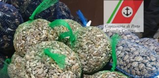 Mercati di Mugnano e Volla, prodotti ittici non tracciabili