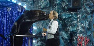 Grande successo del Circo Paolo Orfei ad Avellino fino al 25 aprile