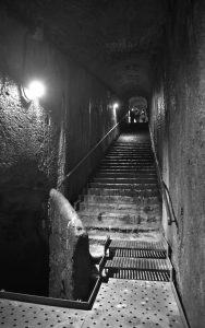 Ripartono le visite al Teatro Antico del Parco Archeologico di Ercolano Il Teatro Antico di Ercolano riapre al pubblico dal 23 aprile