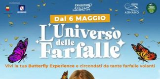 All'Ippodromo di Agnano arriva la mostra Universo delle Farfalle e Butterfly Experience