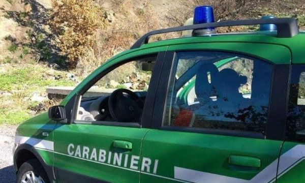 Nola, controlli dei Carabinieri Forestali: sequestrati 180 kg di alimenti in una pizzeria