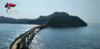 Procida, sanzioni per 4.500 euro sull'isolotto di Vivara