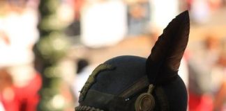 alpini