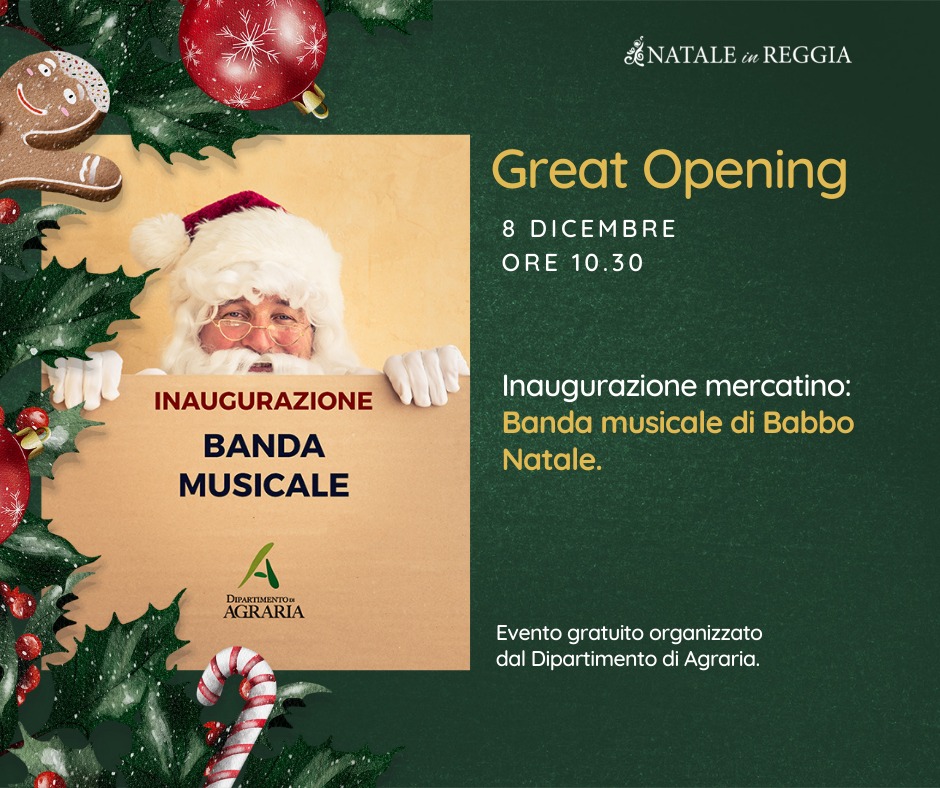 Mercatino di Natale in Reggia 2022: spettacoli, animazione, degustazioni e visite guidate