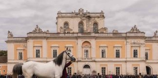 Real Sito di Carditello, inizia il restauro del parterre