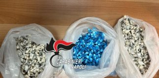 Caivano, droga nel centro storico e parco Verde: 2 arresti