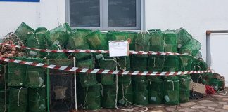 Sant'Angelo d'Ischia, maxi sequestro di nasse illegali