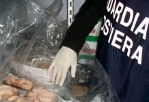 Castel Volturno: scatta il blitz della Guardia Costiera contro il mercato ittico illegale Castel Volturno: scatta il blitz della Guardia Costiera contro il mercato ittico illegale