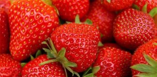 Sagre ed eventi in Campania dal 21 al 25 aprile, tutti gli appuntamenti