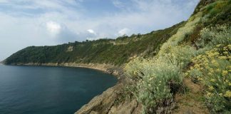 Isolotto di Vivara dopo 4 anni riaperto al pubblico