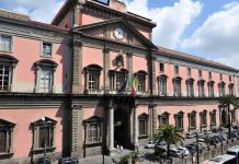 Natale al MANN con CoopCulture: visite, mistery tour e campus per grandi e piccini MANN con CoopCulture: Natale tra visite, mistery tour e campus per grandi e piccini