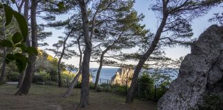 Parco della Certosa San Giacomo a Capri, il 23 giugno la riapertura al pubblico