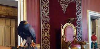Palazzo Reale di Napoli, sabato la storia della falconeria