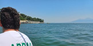 Arpac, prelievi Golfo di Napoli: fioritura algale legata a condizioni meteomarine 