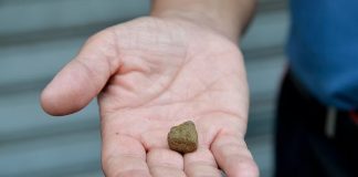 Mondragone, bimba scambia hashish per cioccolato