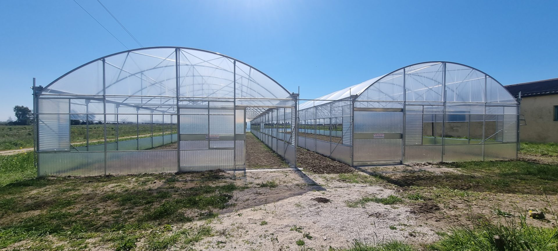 Green Farm, cresce la fattoria ecologica made in Campania