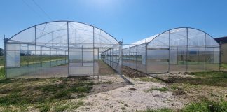 Green Farm, cresce la fattoria ecologica made in Campania