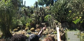 Migranti realizzeranno una guida sulla città di Napoli