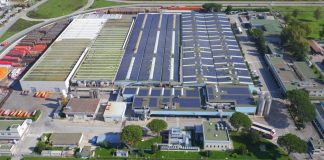 Oggi a Napoli uscita in barca a vela per pazienti ematologici, organizzata da UnoUnoCinque e AIL Napoli