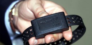 Carcere di Poggioreale, scarcerato resta cella: ecco perché