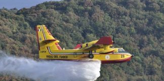 Torre del Greco, fiamme sul Vesuvio: canadair in azione